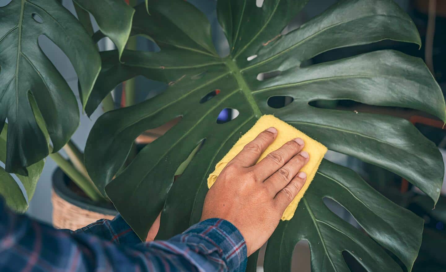 How to Use Artificial Plants in Real Ways The Home Depot